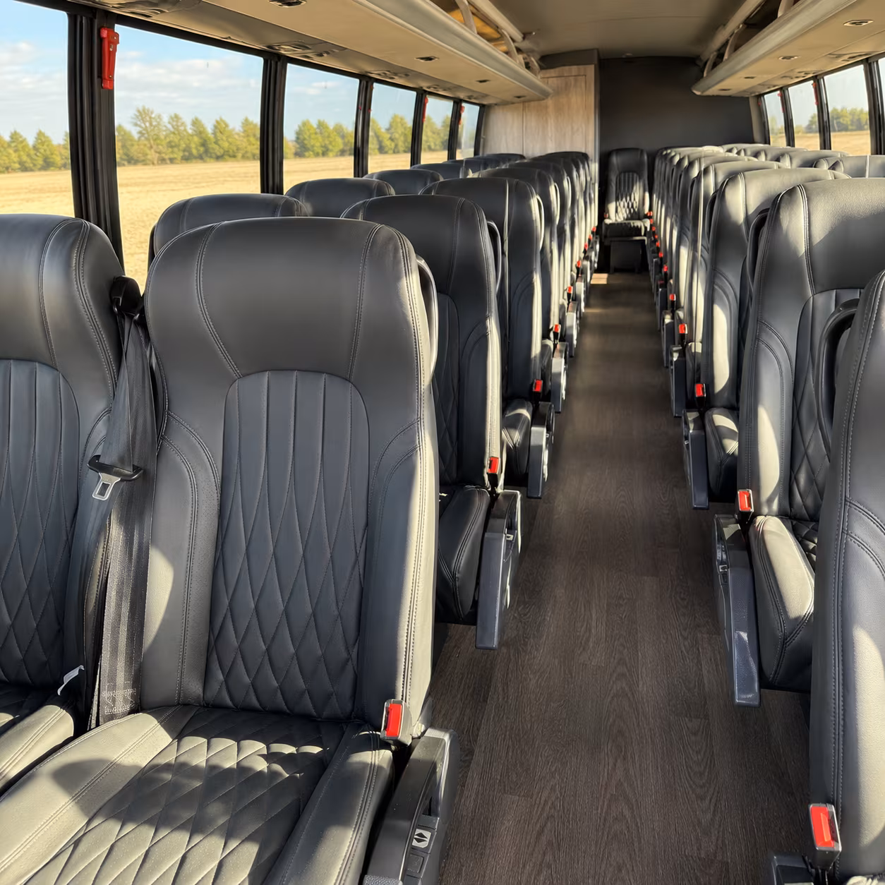 what kind of bus am i actually looking for and how does that change the price in bellingham